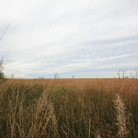 Olborbotte Holiday home Malmedy