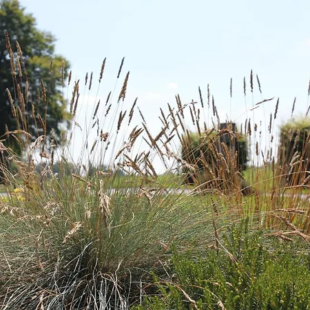 Olborbotte * Malmedy