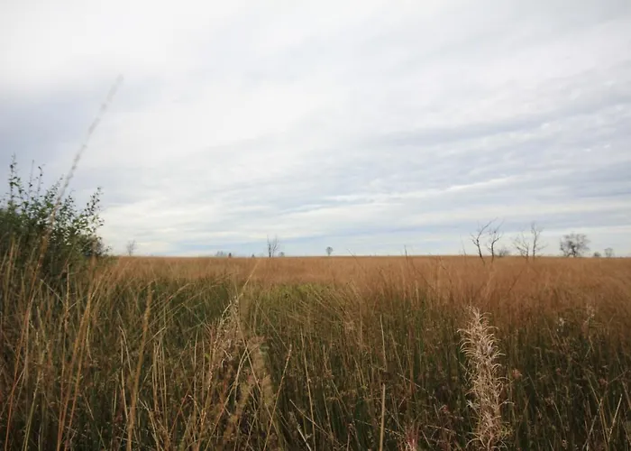 Olborbotte Holiday home Malmedy