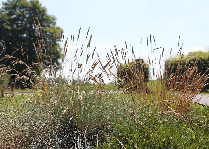 Olborbotte * Malmedy